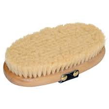 Horse Brush